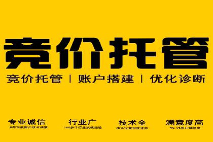 SEM服务公司助力企业增长案例